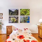 Kiwi Retreat