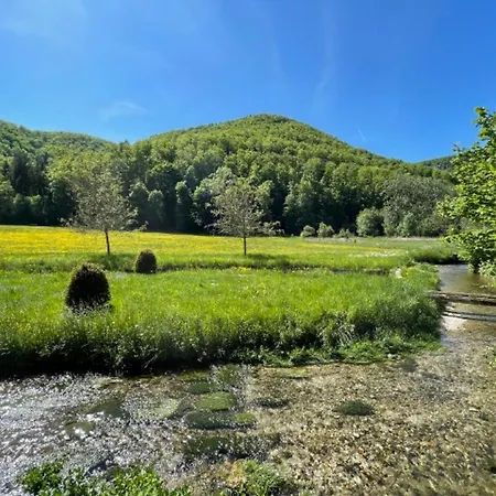 Kiwi Retreat Апартаменты Бад-Урах