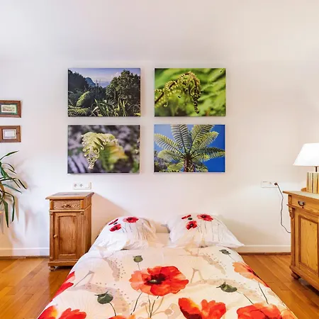 Kiwi Retreat
